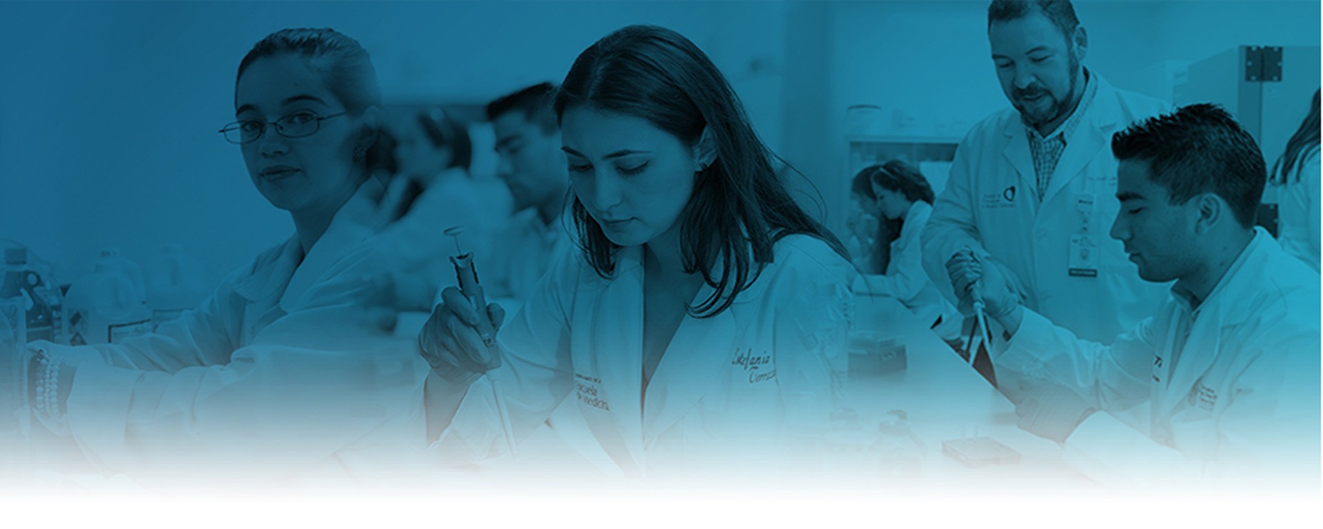 En el Tec de Monterrey existen grupos de investigación dedicados a temas específicos sobre sostenibilidad ambiental