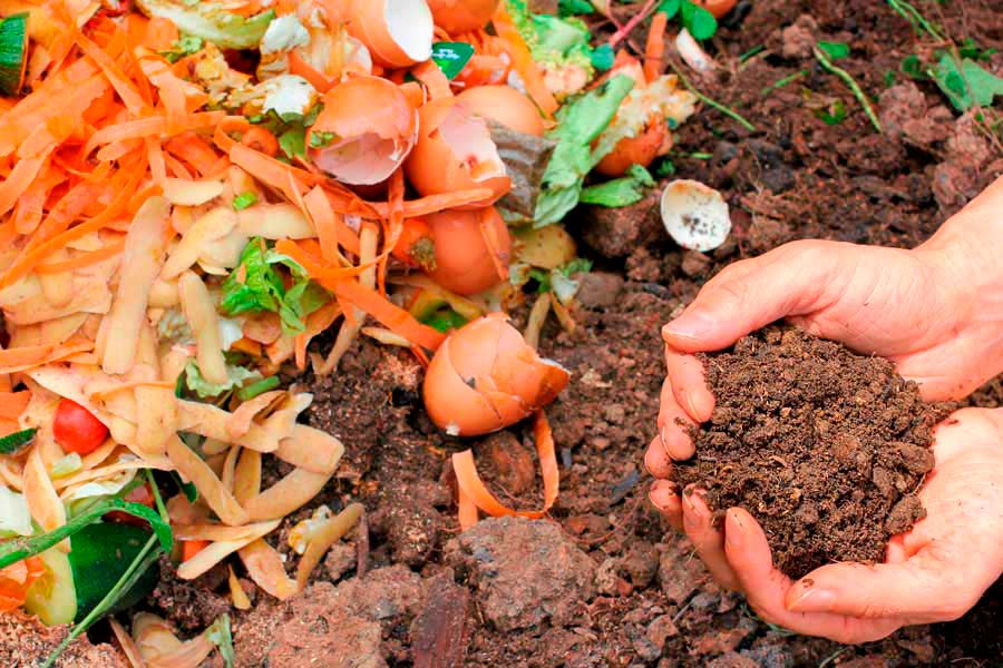 Integración de desechos vegetales a la composta