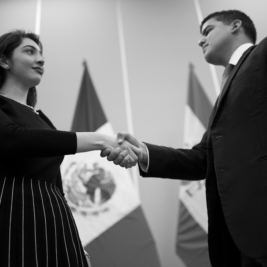 ¿En qué podrás especializarte?