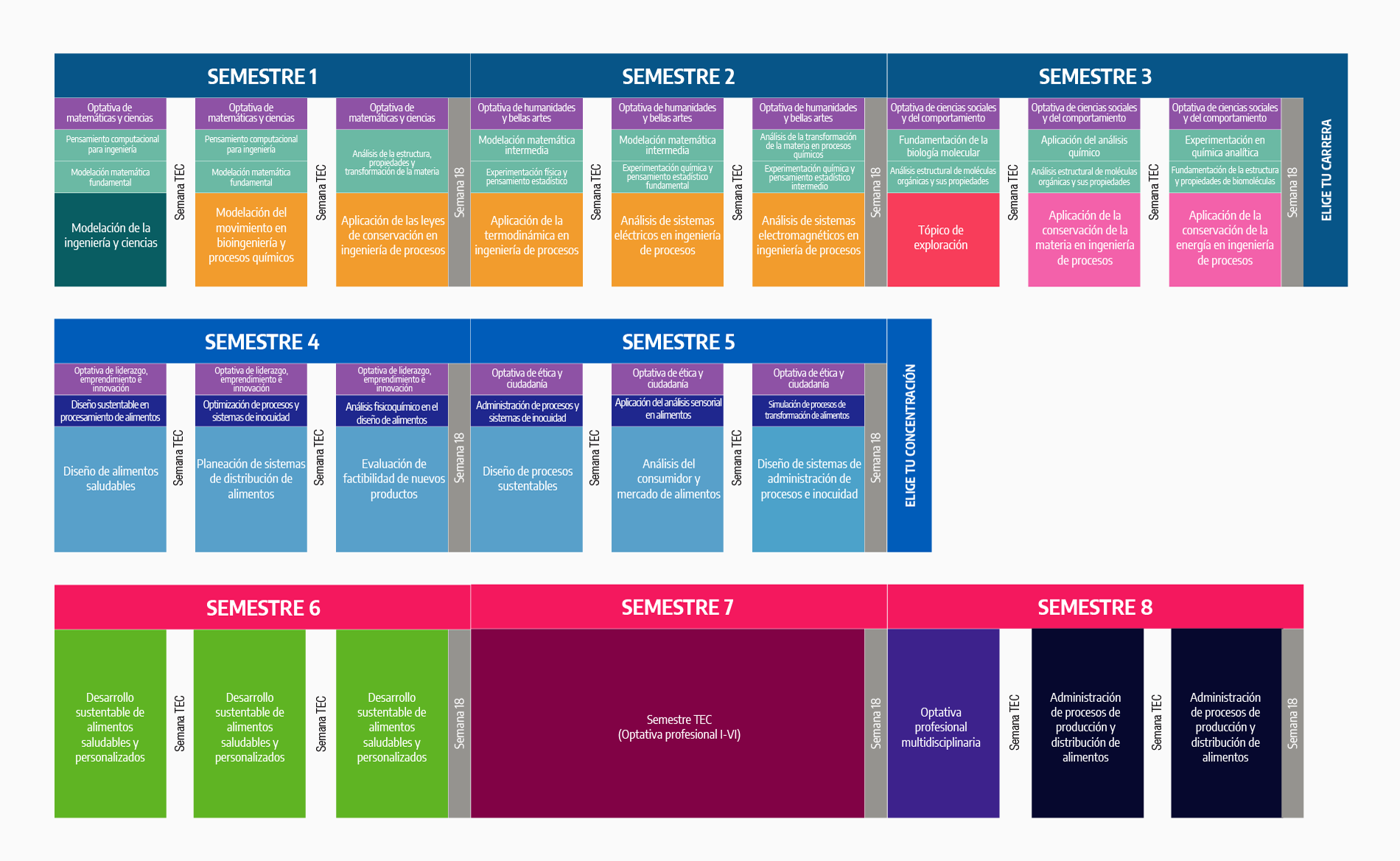 Plan de Estudios Ingeniero en Alimentos