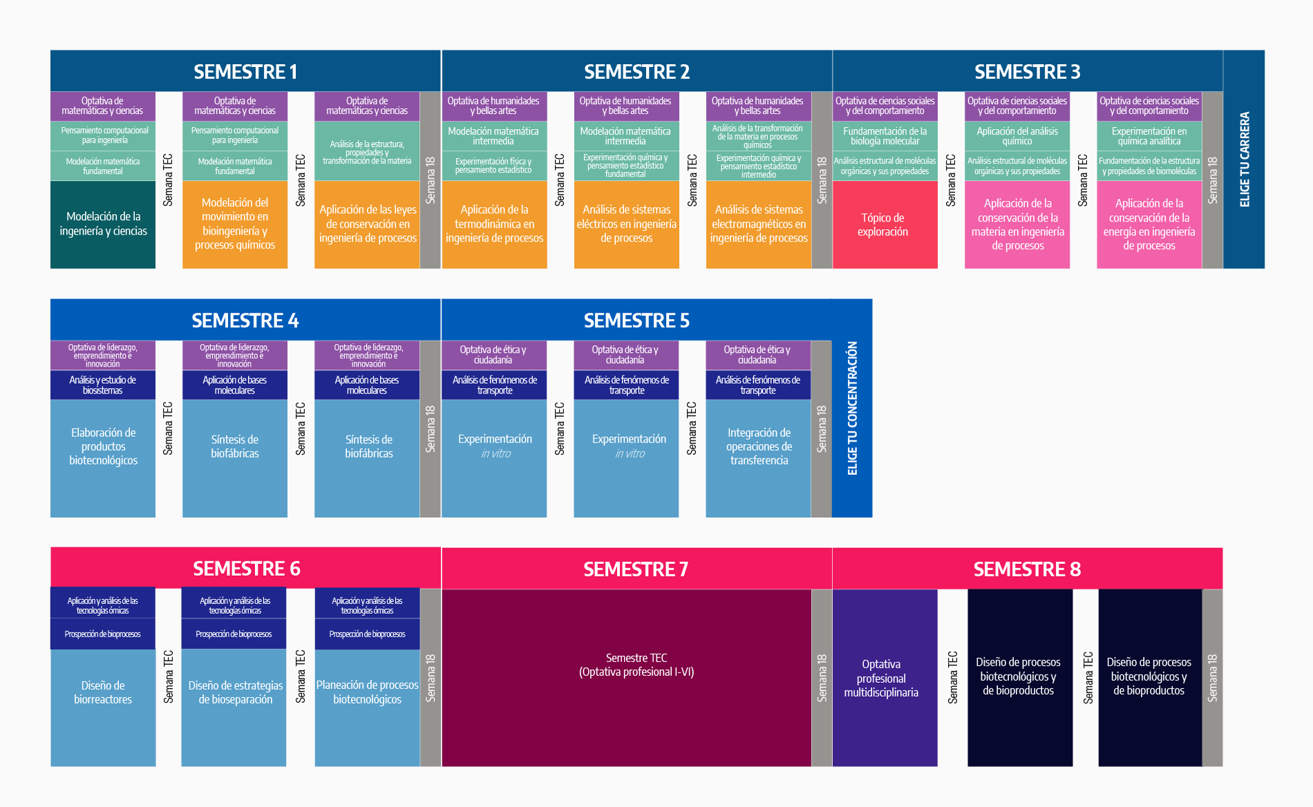 Plan de estudios Ingeniero en Biotecnología