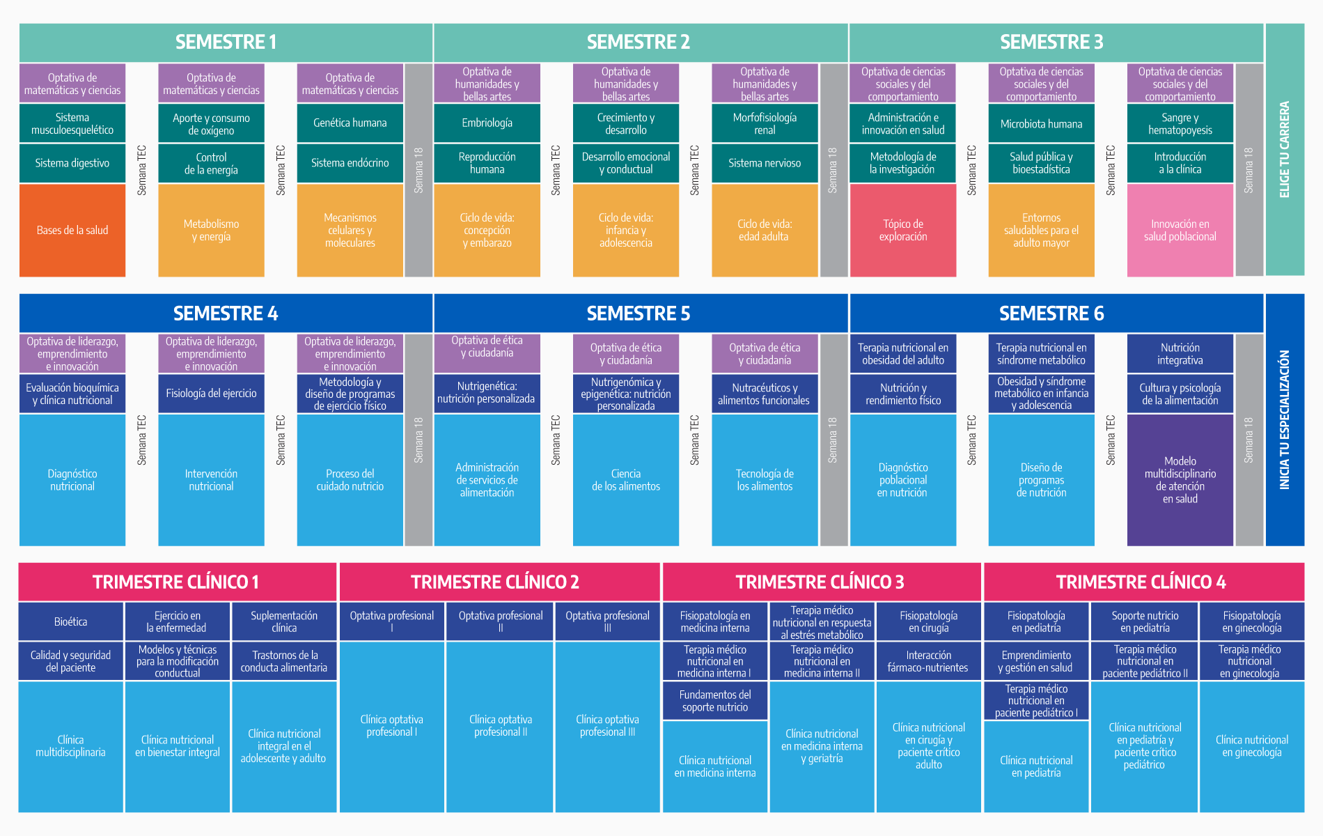 Plan de estudios LNB