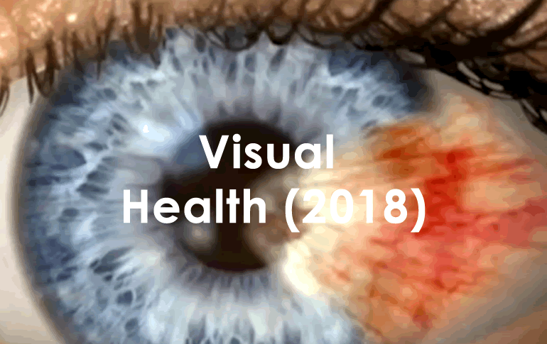 Visual2018