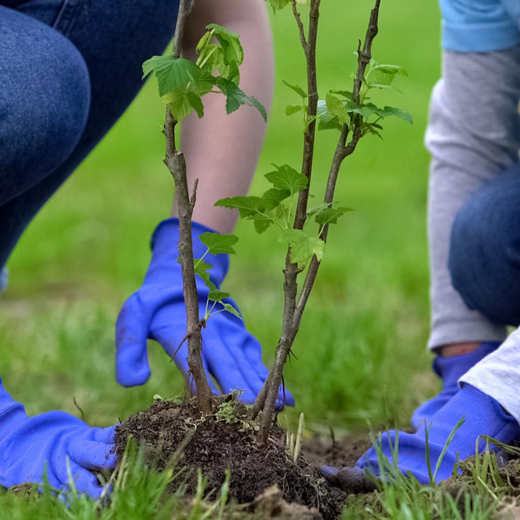 El Tec de Monterrey abre públicamente los detalles de todos los proyectos en Sostenibilidad en que participa la institución