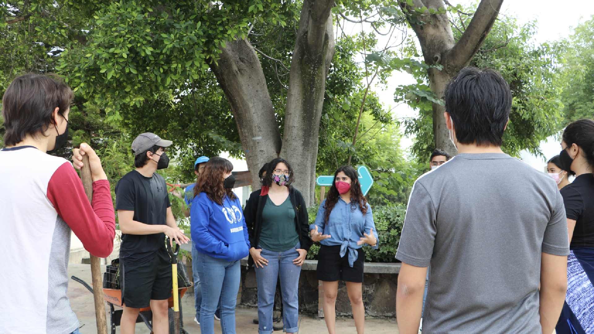 Los alumnos se organizan para plantar tabachines y ocotillos en campus Irapuato.